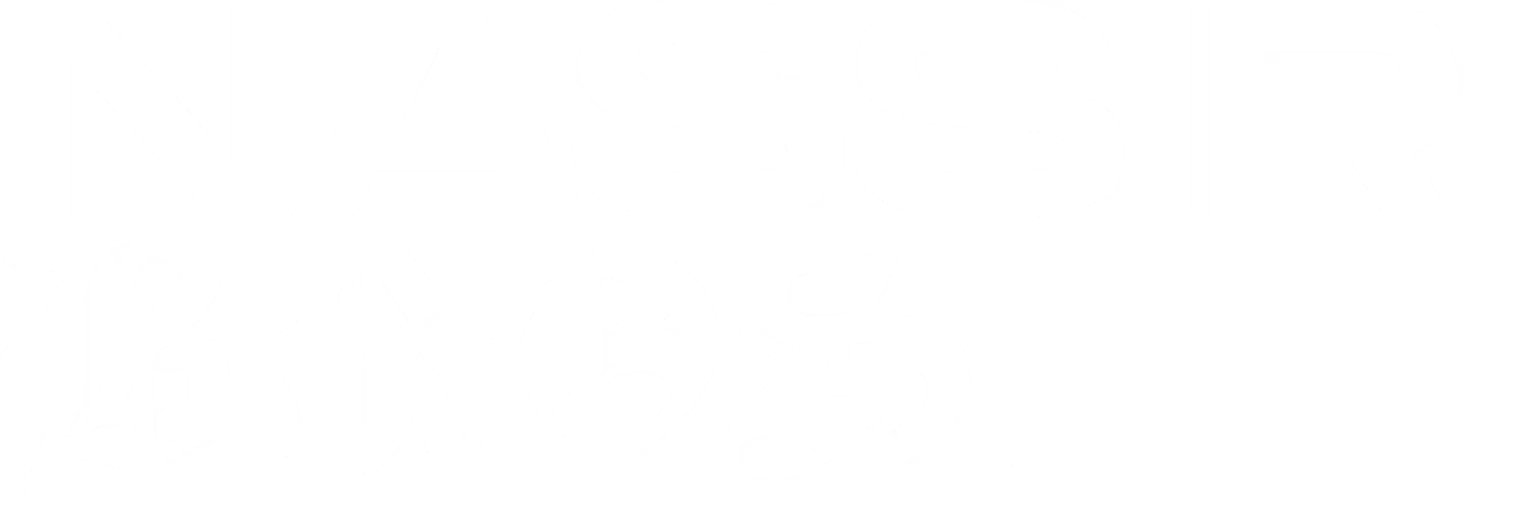 NASSIRIBROS Logo